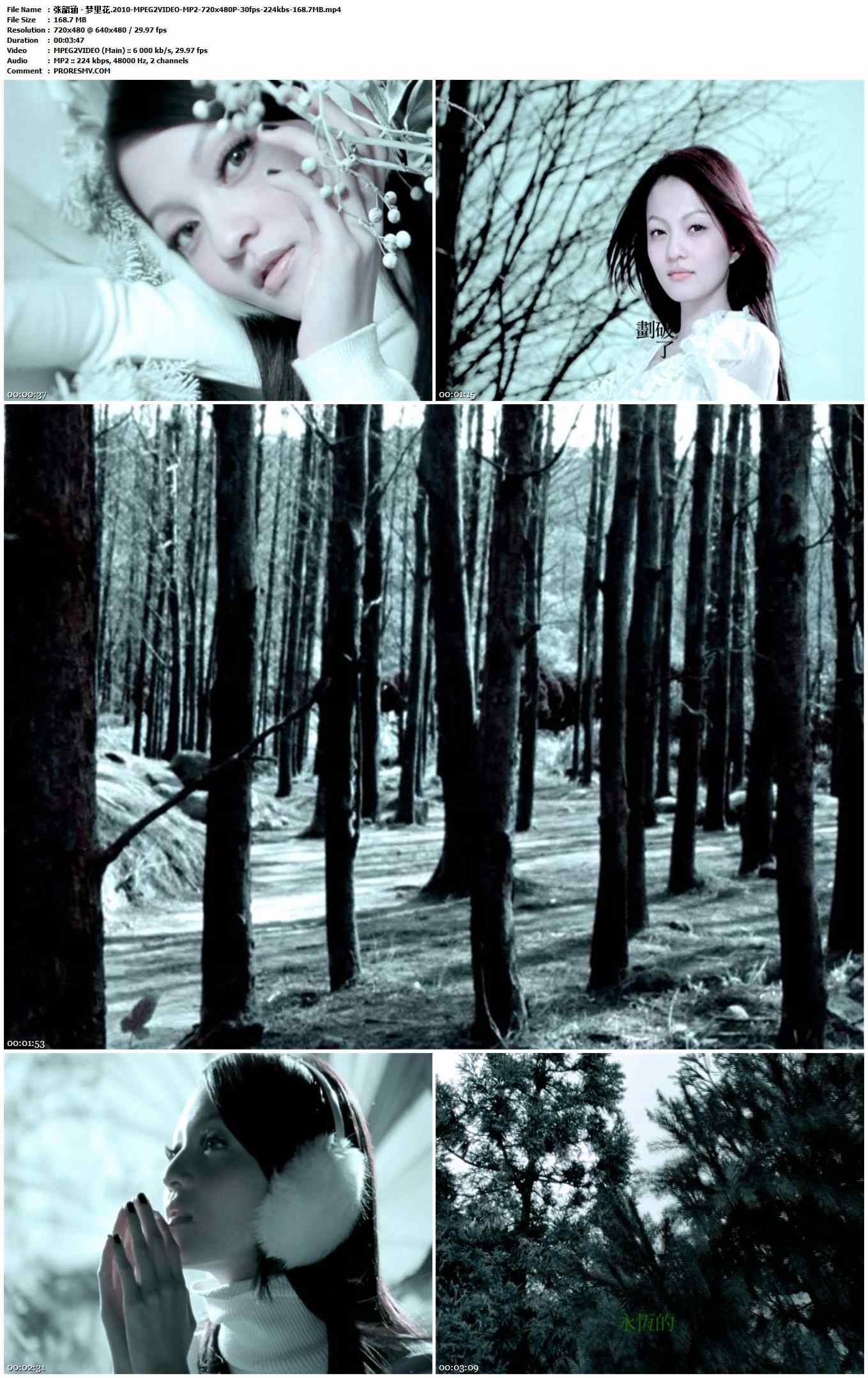 张韶涵 - 梦里花.2010-MPEG2VIDEO-MP2-720x480P-30fps-224kbs-168.7MB官方MV_高清MV